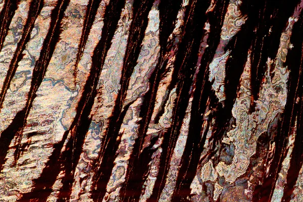 Space Radar Image of Egypt Sand Dunes