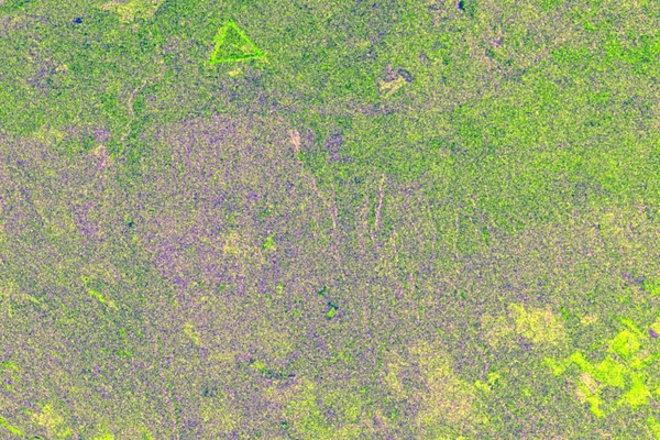 Space Radar Image of Raco, Michigan, Ecological Test Site