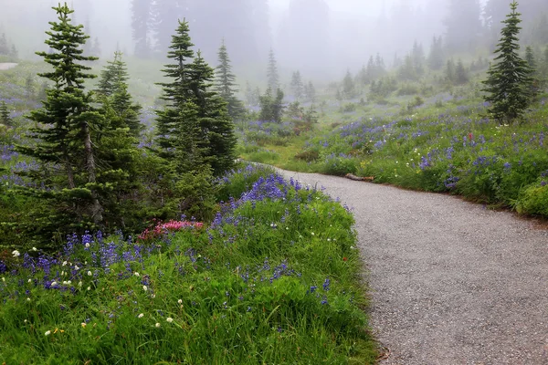 Foggy Wildflowers on Mt. Rainier, ( 2 of 3)