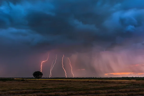 Lightning storm over the tree