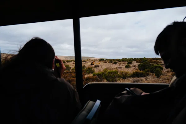 Afrika Safari 3