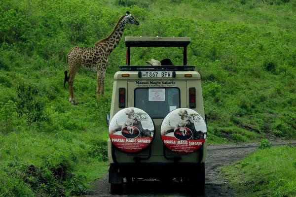 Afrika Safari 2