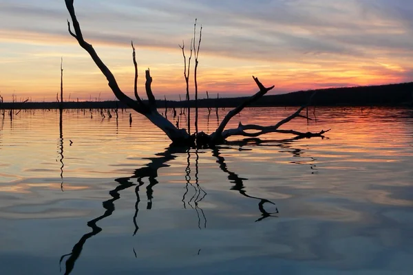 Lake Reflections