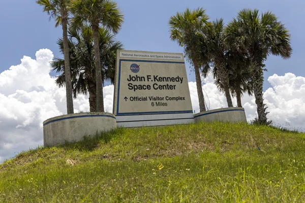 Wildflowers at KSC