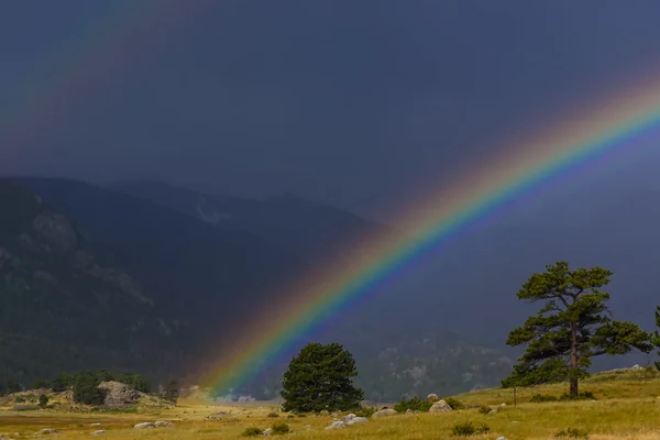Double Rainbow