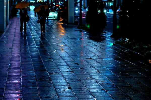 rainy night street @Ginza / May 05