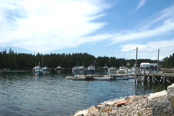 Winter Harbor marina, Maine