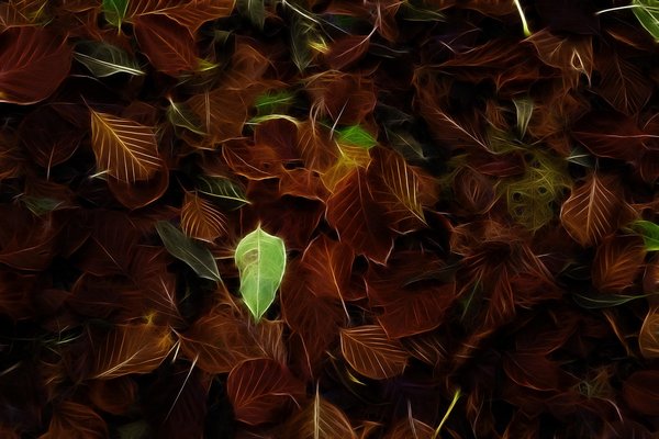 Parlak Spiral 2