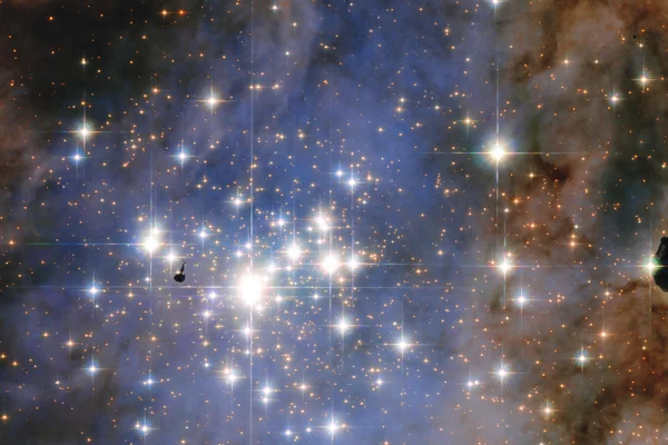 Hubble Unveils a Tapestry of Dazzling Diamond-Like Stars