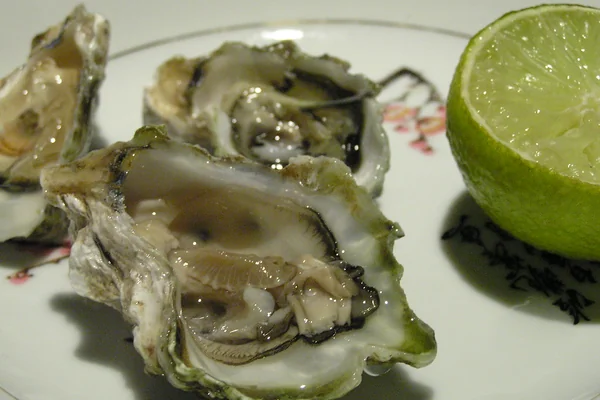 Kumamoto Oysters