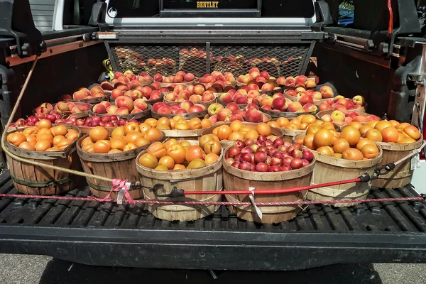 Farmer's Market produce