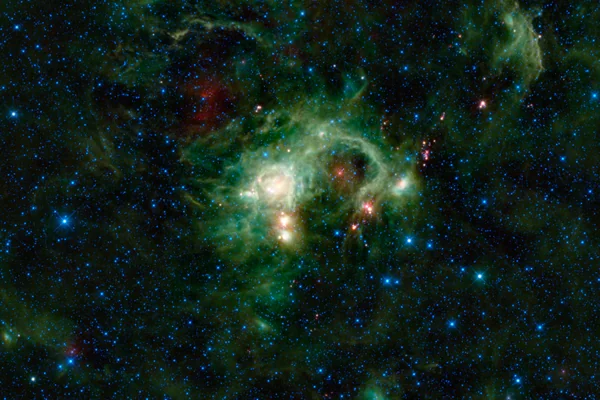 WISE Eyes Evolution of Massive Stars