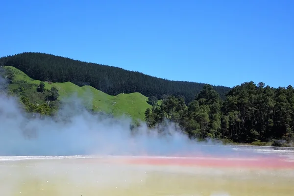 Rotorua. The sulphur coloured edge of Champagne Lake in the geothermal volcanic park of Wai O Tapu. Boiling steam rises from the lake.