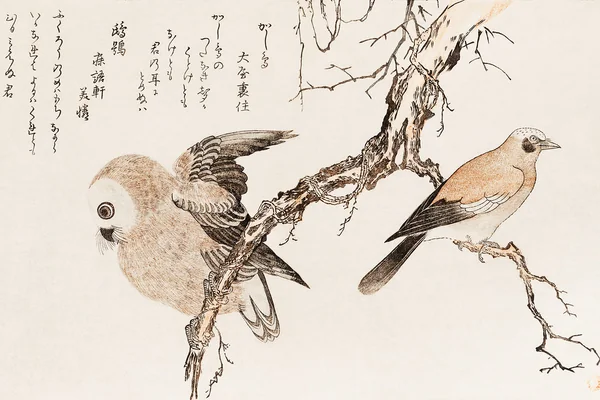 Kashidori Fukuro by Utamaro Kitagawa (1753-1806), a traditional Japanese ukiyo-e style illustration of jay and owl birds and a Japanese poem written on both sides of the pages. Digitally enhanced from our own original edition.
