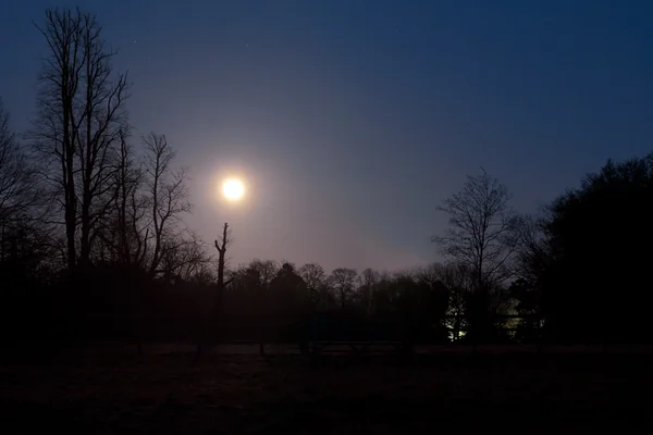 Supermoon rising