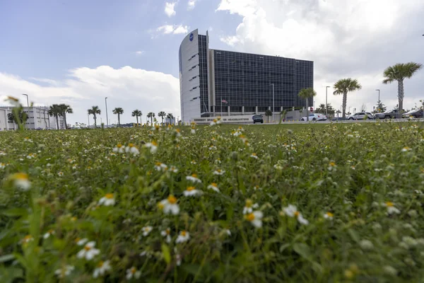 Wildflowers at KSC