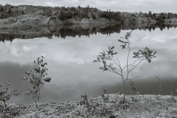 Göl Yansıması 3