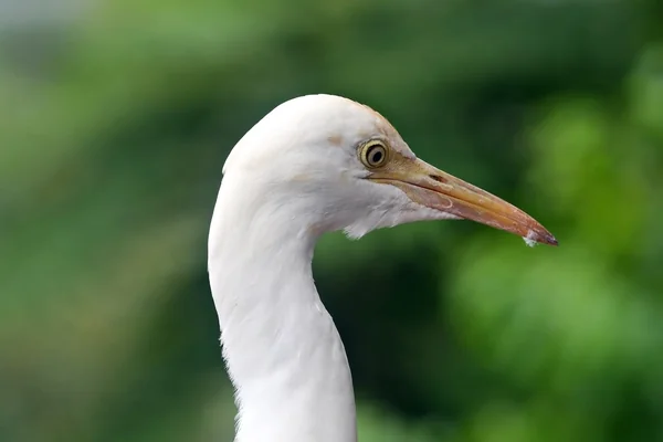 Sokak Fotoğrafçılığı 3