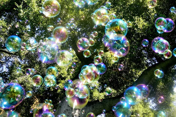 Bubble Rain