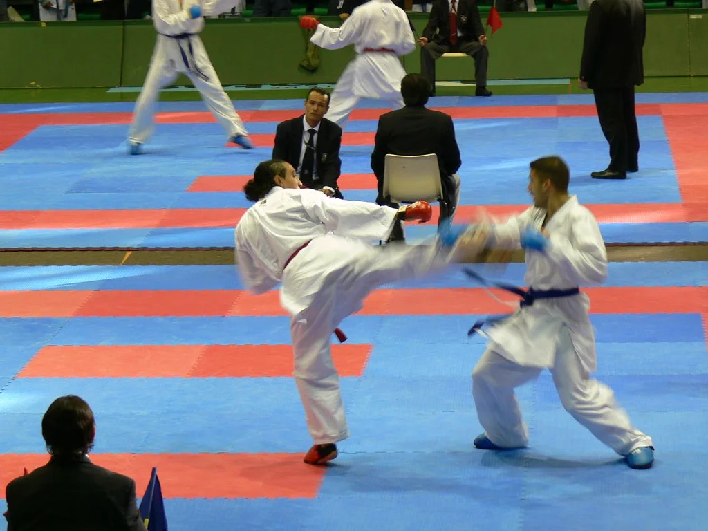 Karate fighting