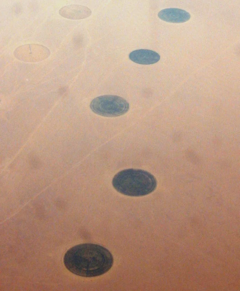 Pivot irrigation in the Libyan desert