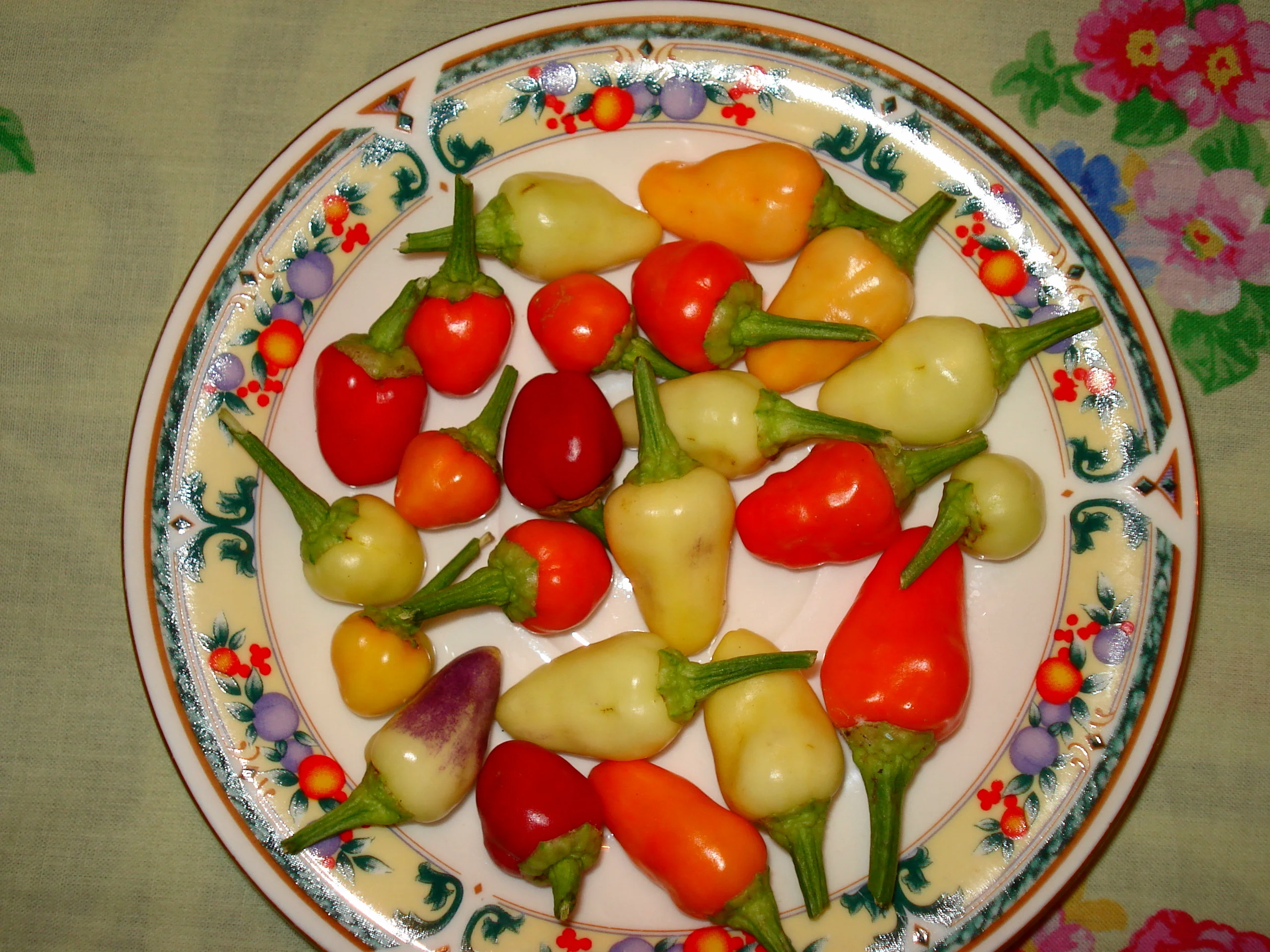 Renkli Baharatlar 2