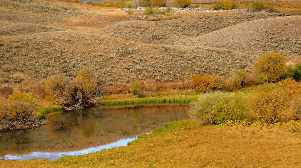 Scanning the Landscape for the Wolf Pack Kill