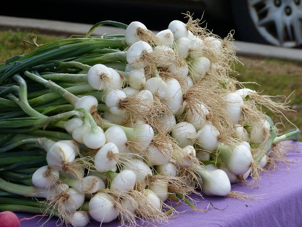 Upcountry Kula Farmers Market Produce Sue Salisbury Maui Hawaii