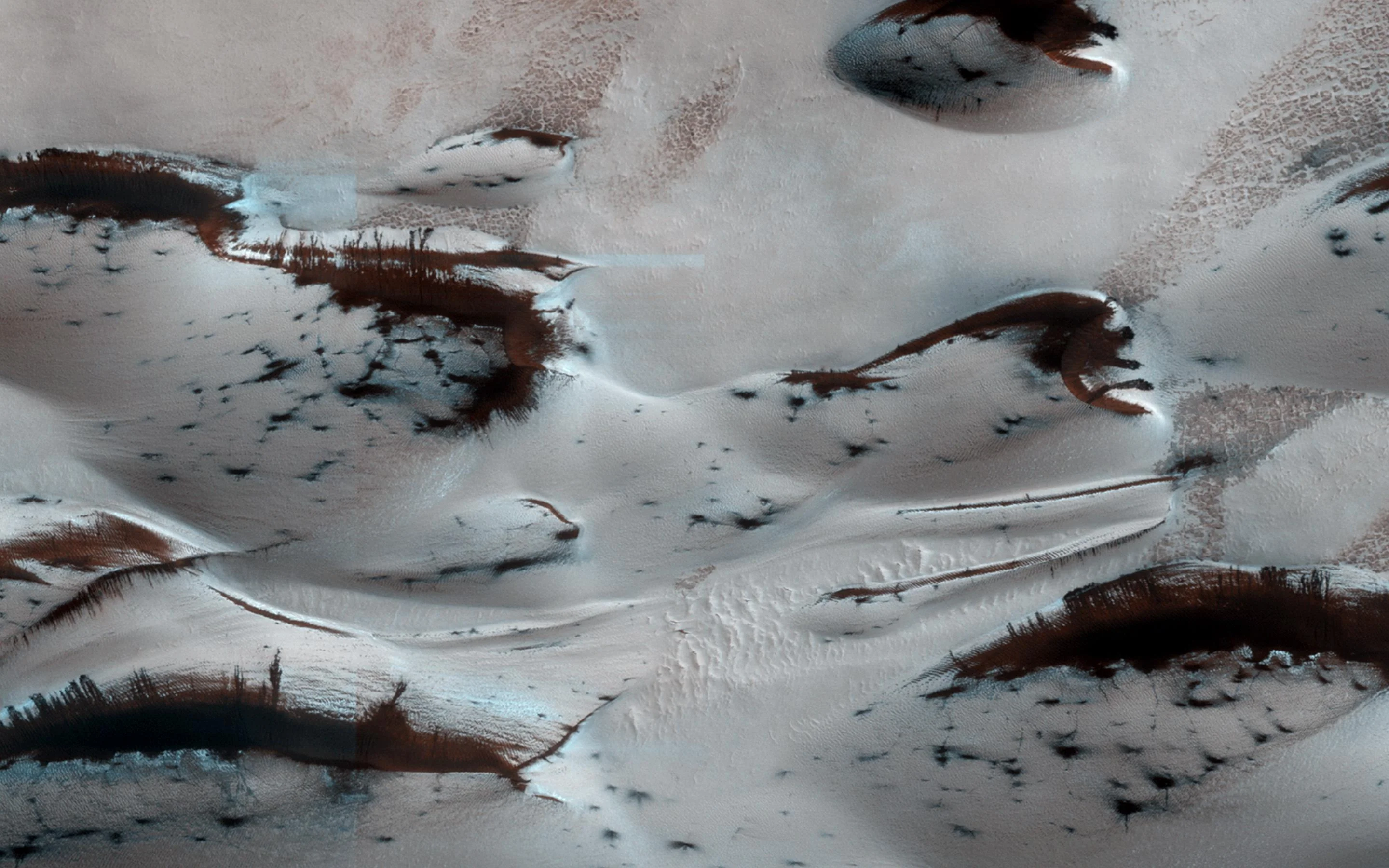 Sand Dunes in Spring