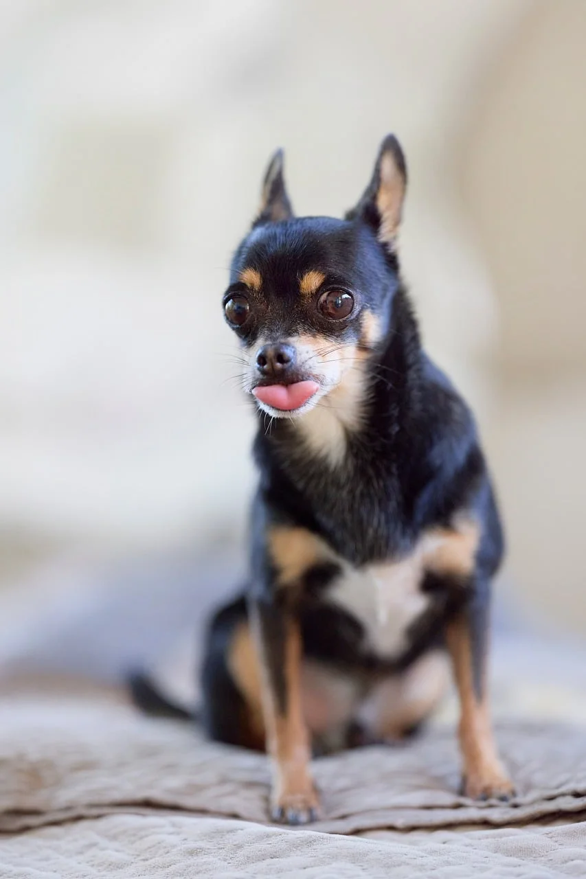 Bokeh Portre 2