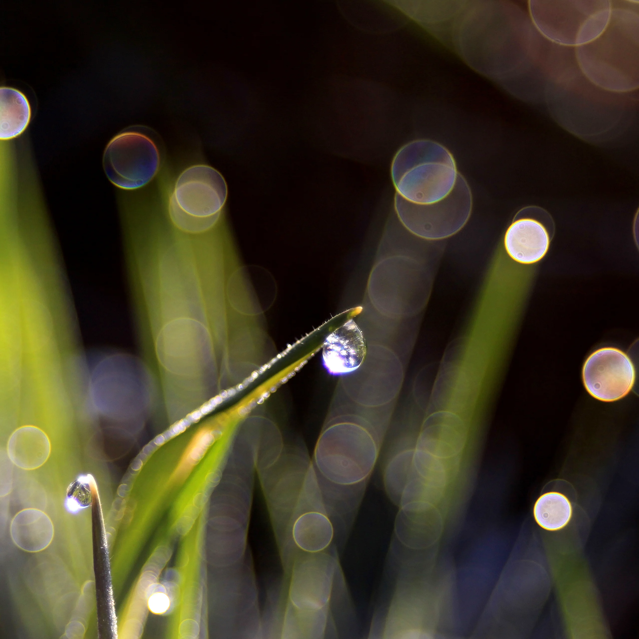 Bokeh Işık 3