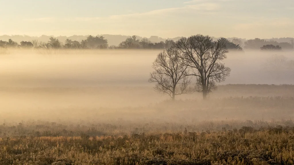 Autumn Mist No.2