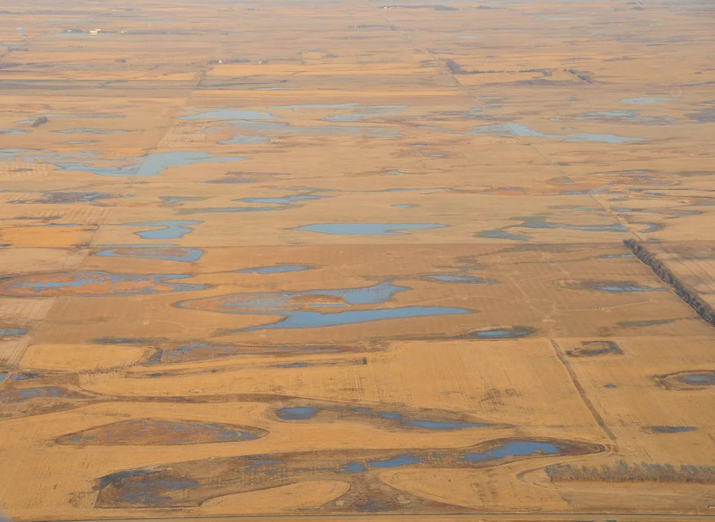 Wetland Conservation Easement Sand Lake Wetland Management District South Dakota 01