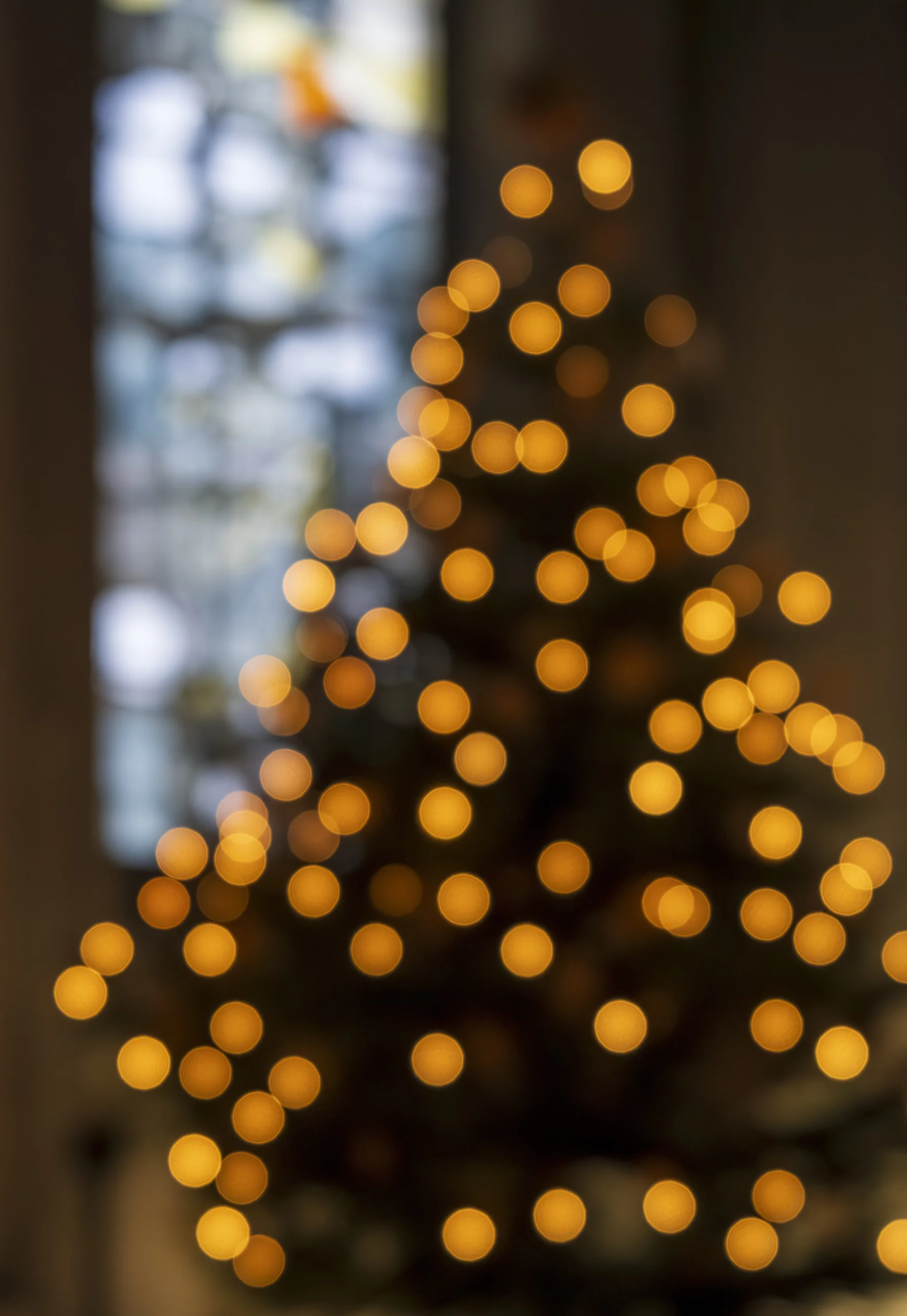 Bokeh Işık 2