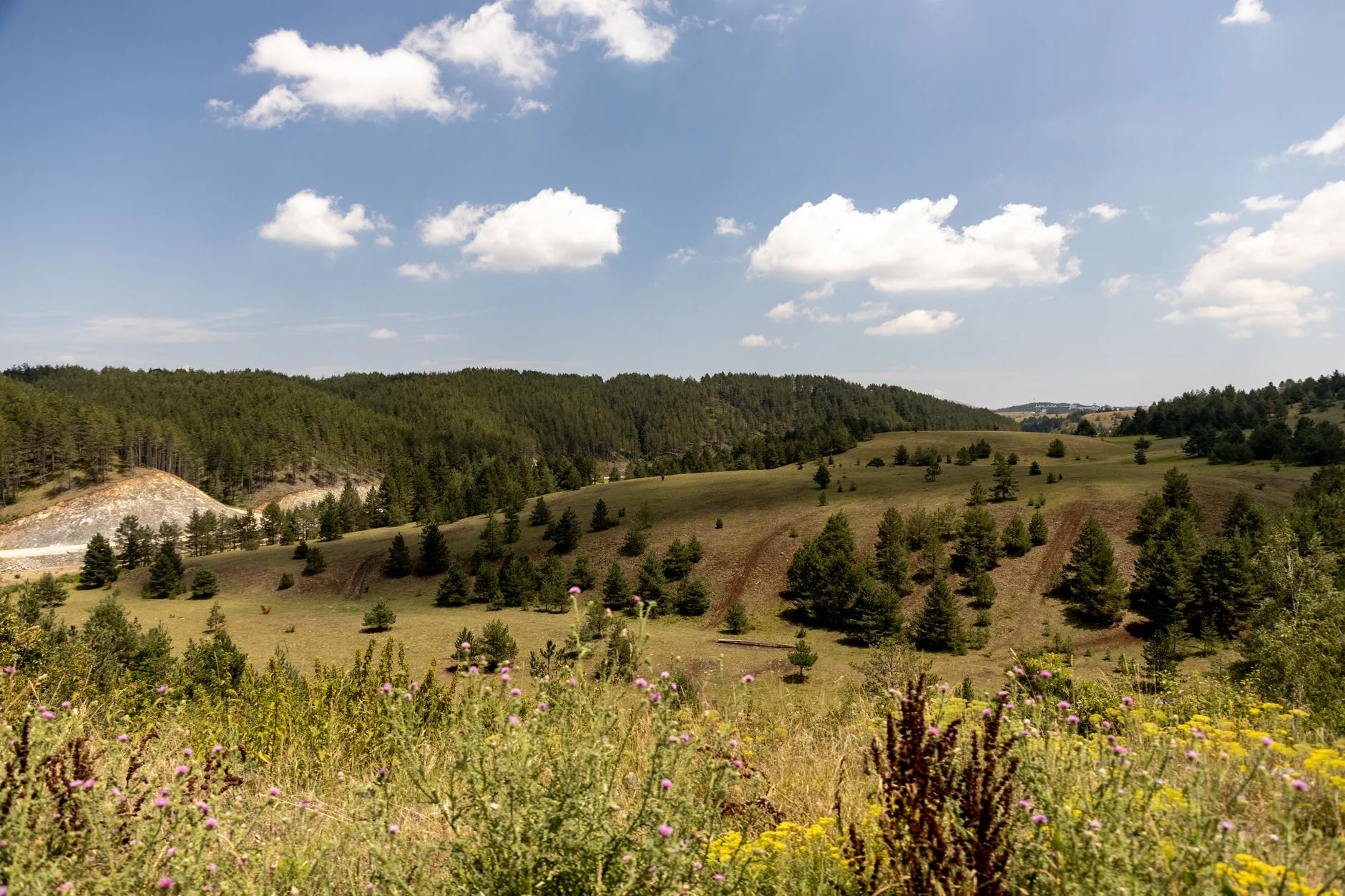 Doğa Manzarası