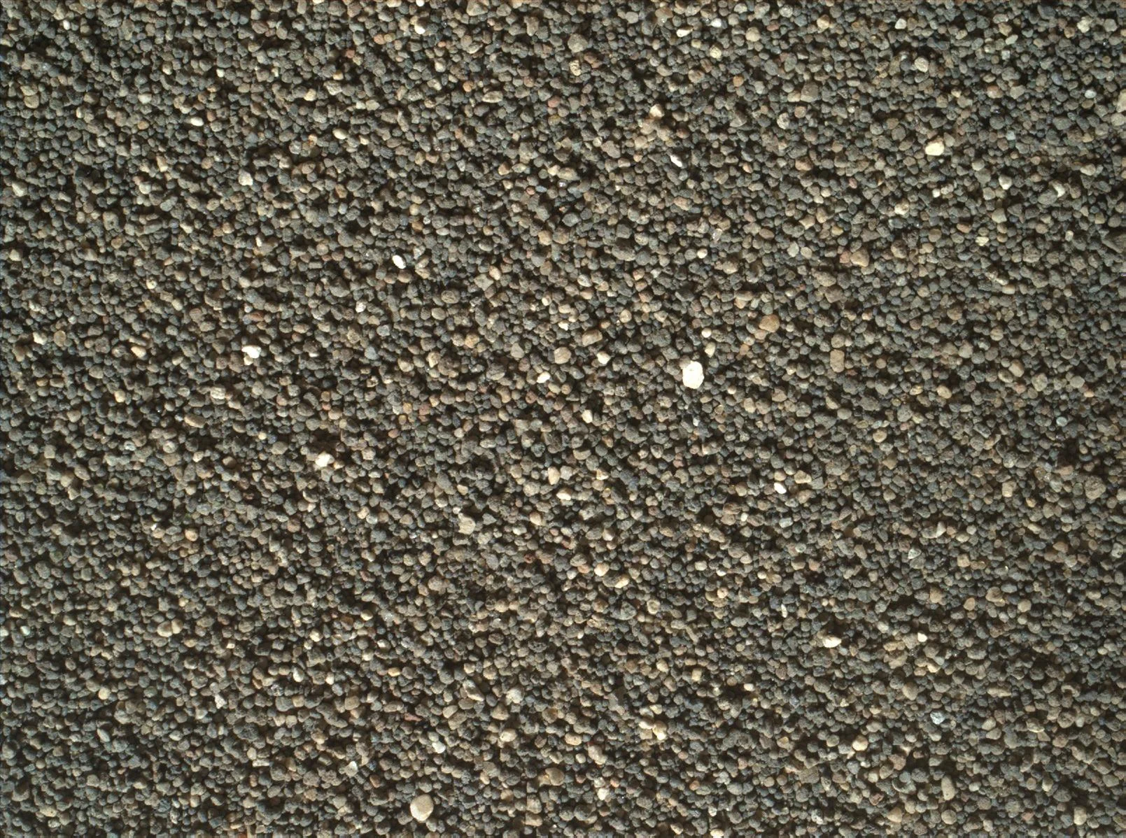 Surface Close-up of a Martian Sand Dune