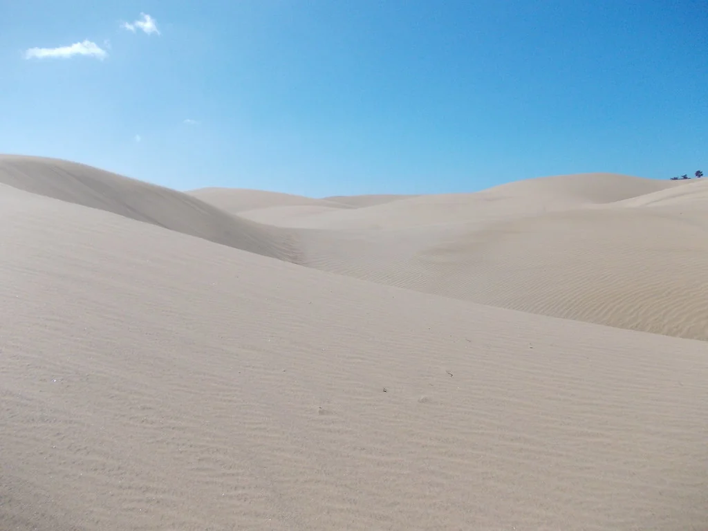 Sand dunes