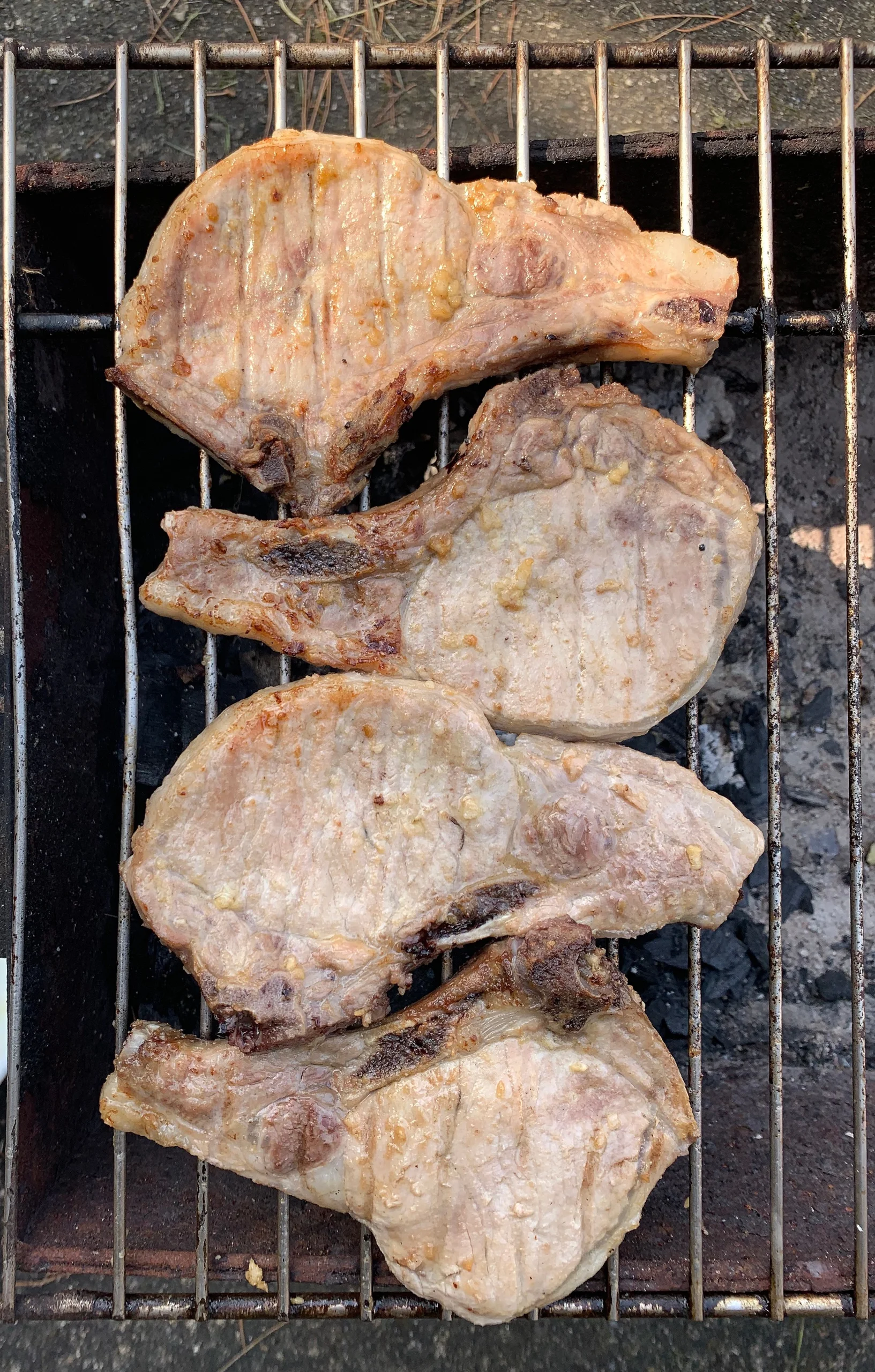Barbekü 5