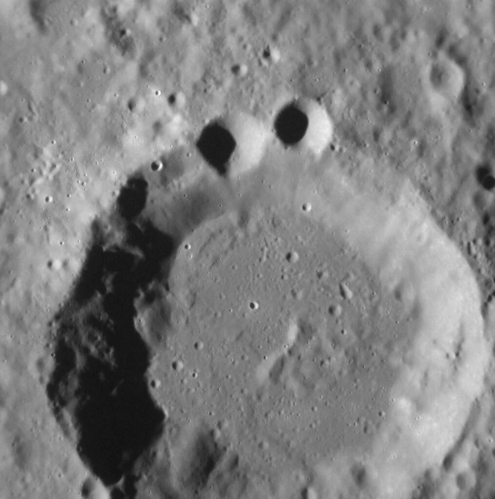 Anyone Else Think This Looks Like the Cookie Monster?