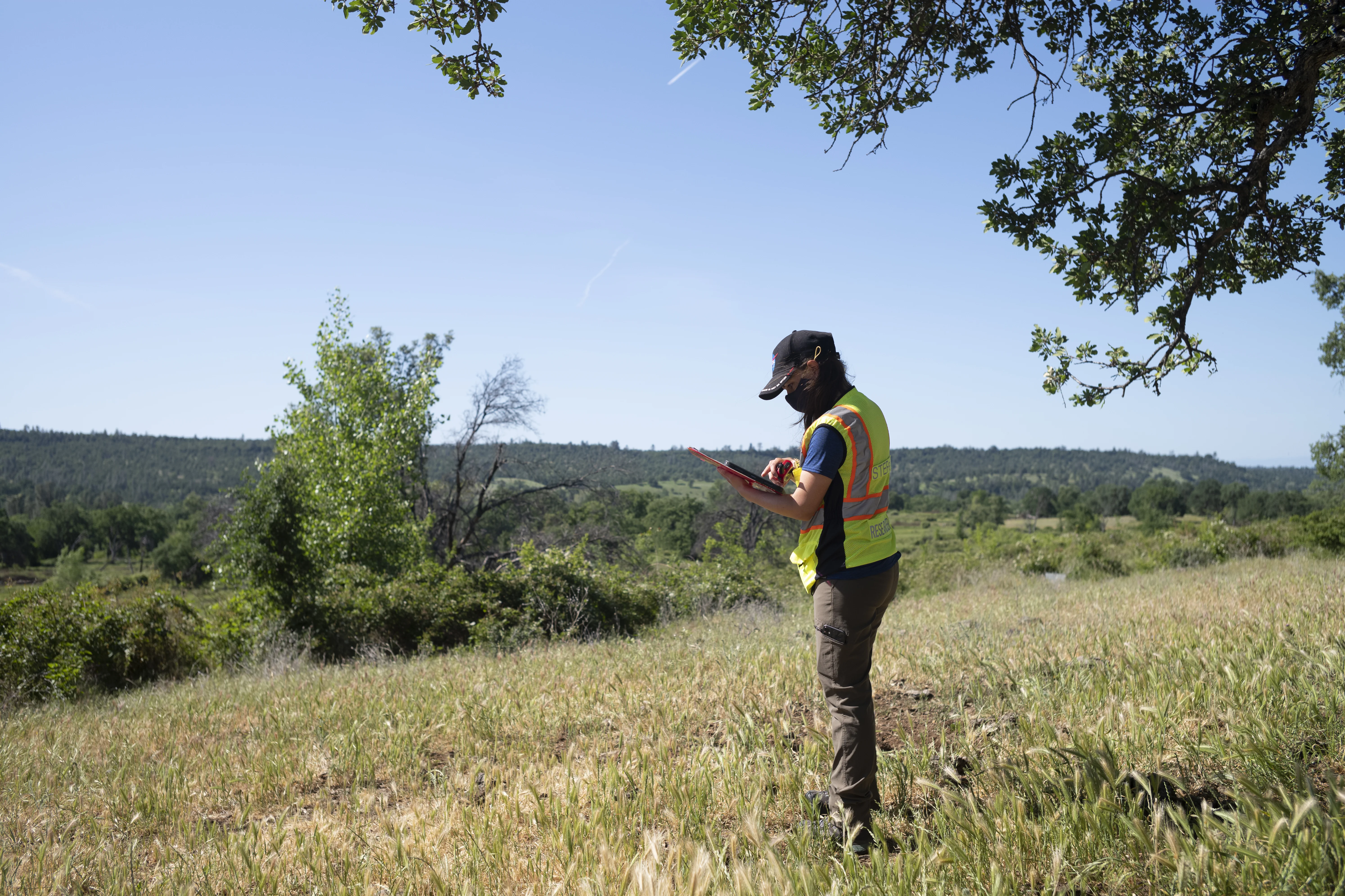 STEReO Field Testing