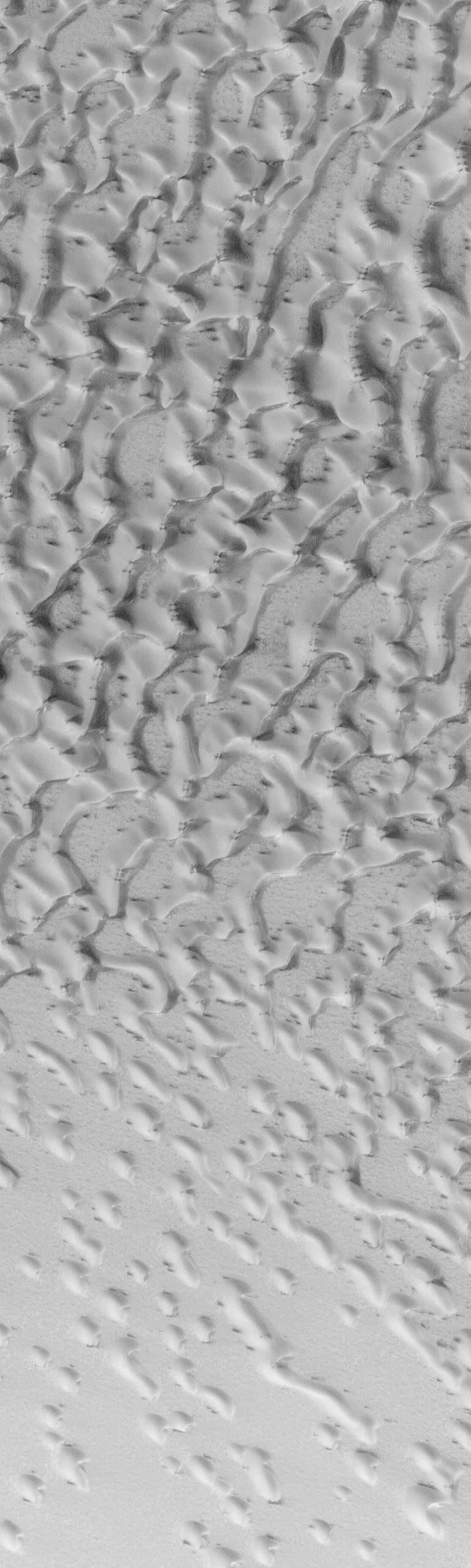 Frosted North Polar Sand Dunes in Early Spring