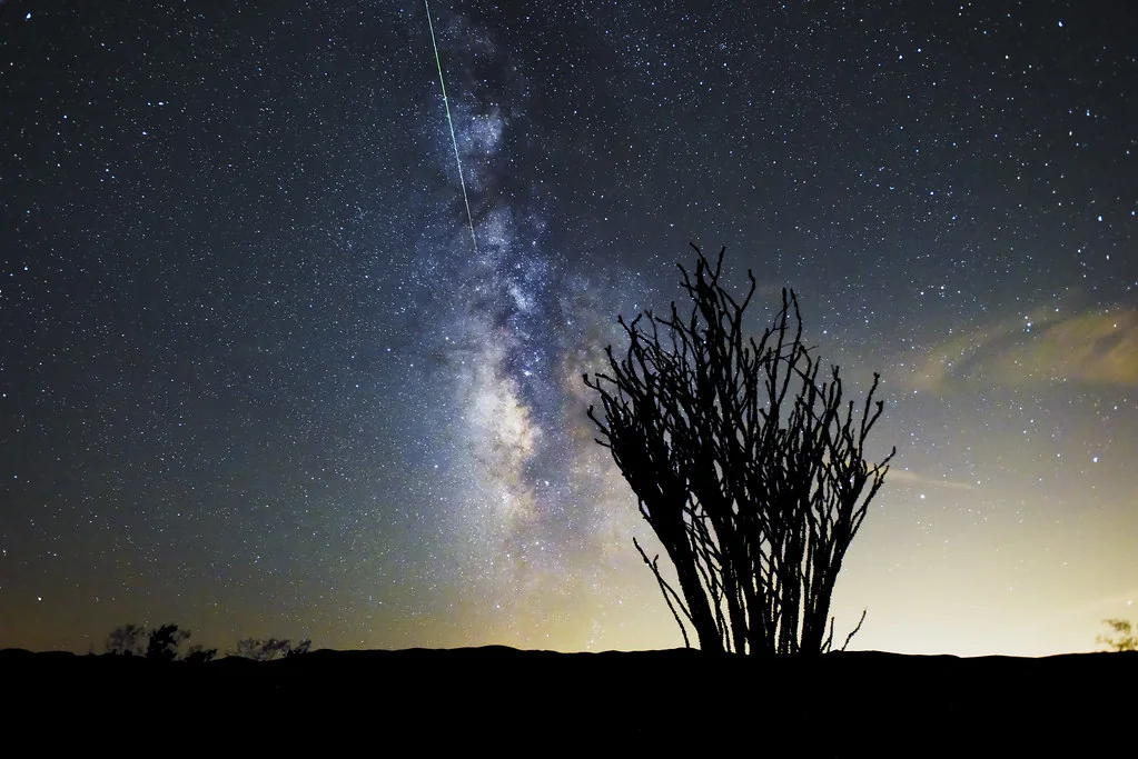 Perseid Meteor Shower over the Ocotillo Patch; 8/12/15