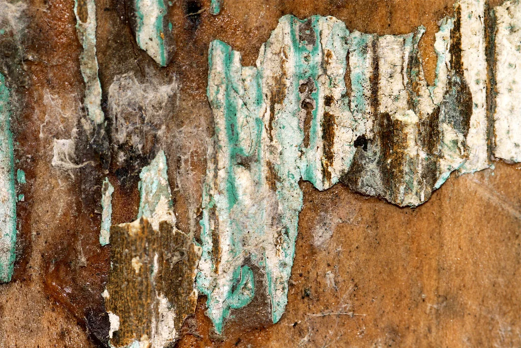 blue and rust texture