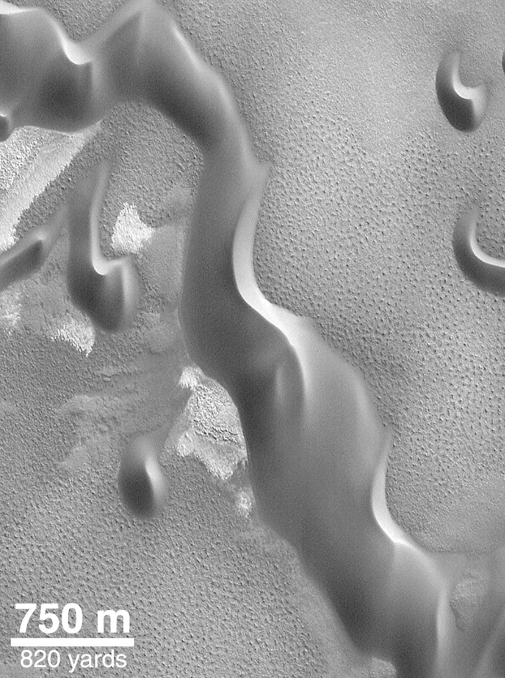 North Polar Sand Dunes