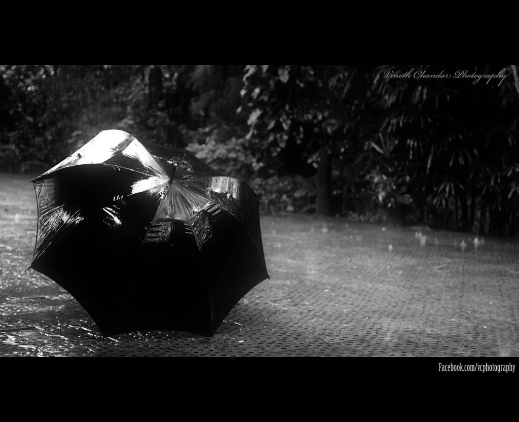 Its a rainy day..