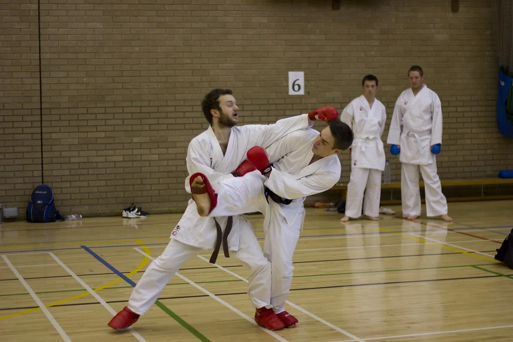 Swansea University Karate Club (4)