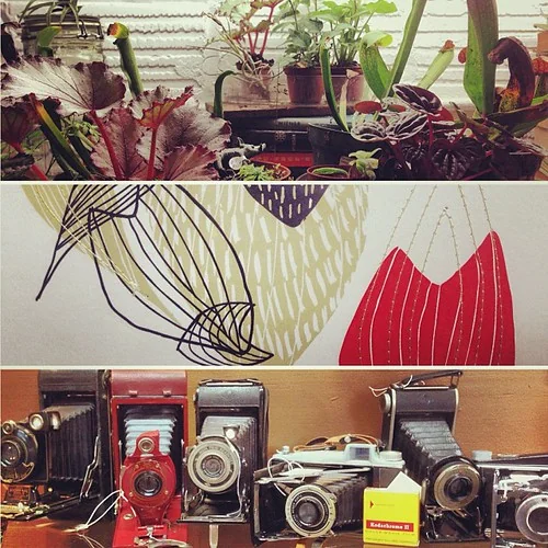 OPEN UNTIL 10PM TONIGHT!!! Join us for some after-hours terrarium-making, cocktail-drinking, nibbles-nibblin', sale-shopping fun!!!