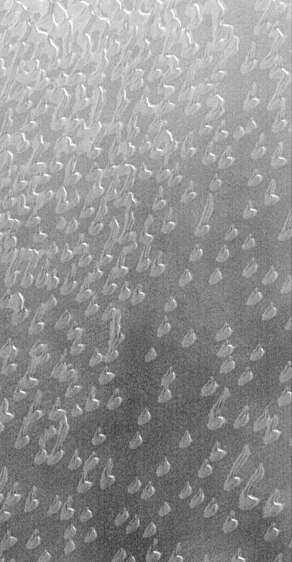 Autumn Frost, North Polar Sand Dunes