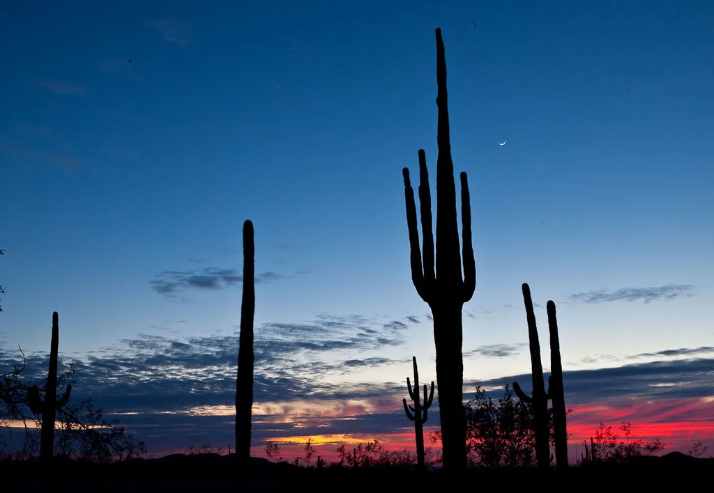 February #conservationlands15 Social Media Takeover: Top 15 Places on National Conservation Lands for Night Sky Viewing