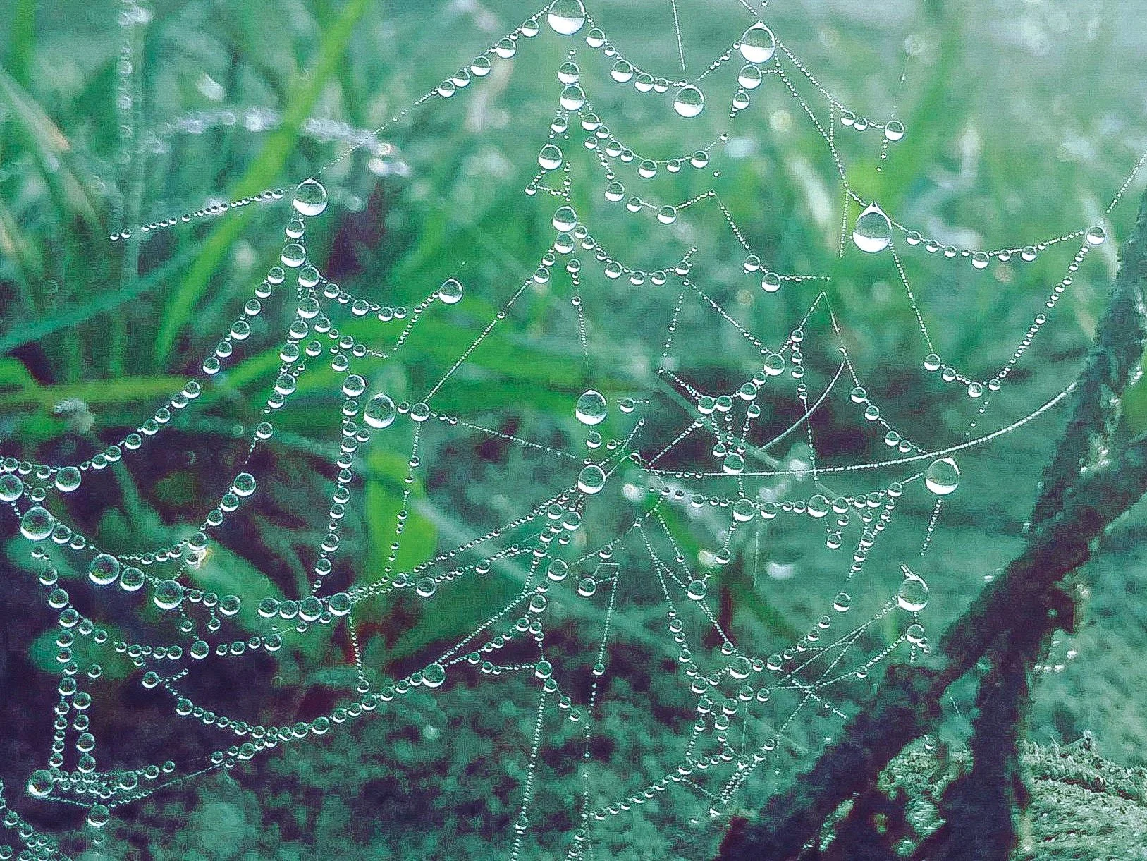 Su Damlaları Makro